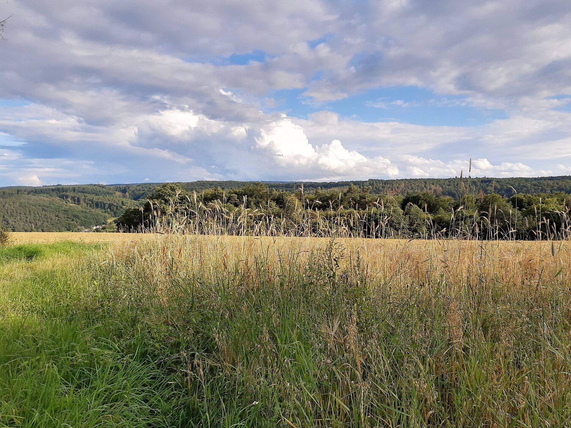 Großer Bestand aus landwirtschaftlichen Feldern in Europa